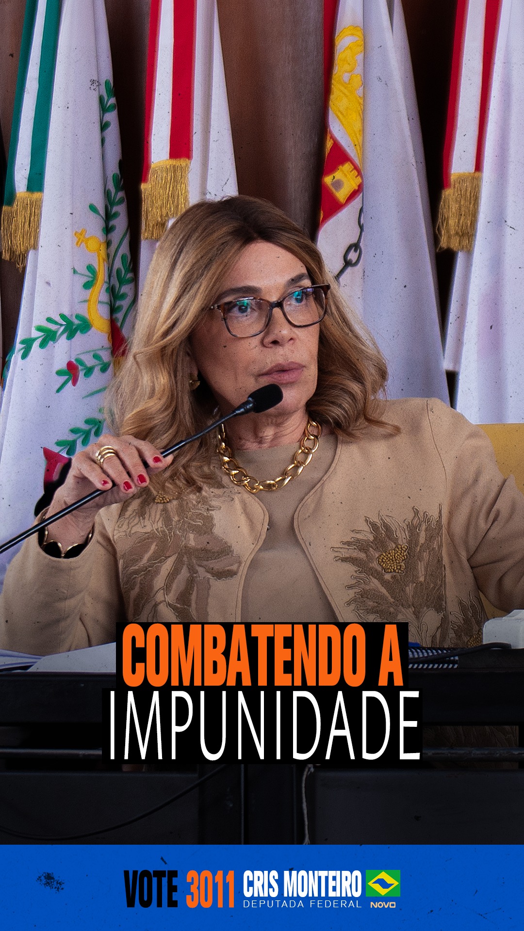 Fim da impunidade, fim das “saidinhas”, redução da maioridade penal e combate financeiro ao crime…
