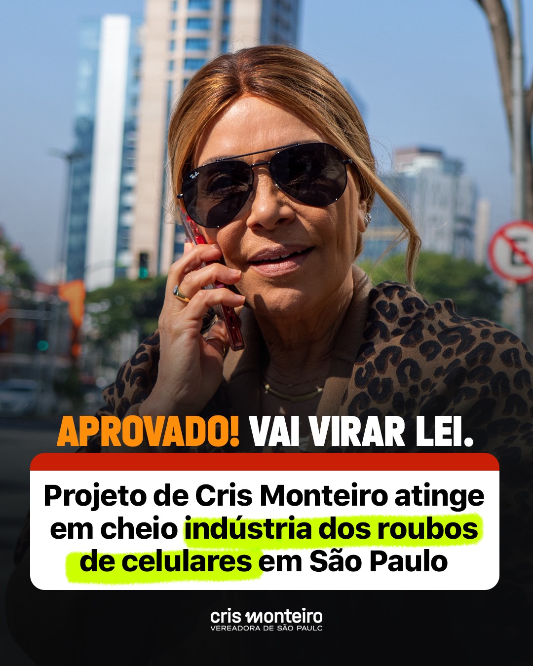 Golpe duro na indústria do roubo